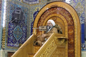 وجه معروفیت امام رضا به عالم آل محمد
