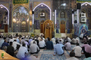 وجه معروفیت امام رضا به عالم آل محمد 6