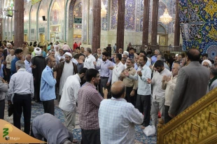 وجه معروفیت امام رضا به عالم آل محمد 8