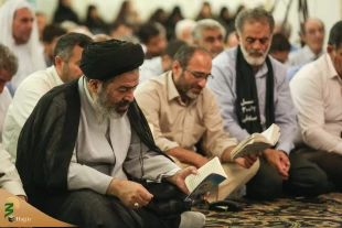 دعای ندبه زائران ایرانی درشهر پیامبر 4