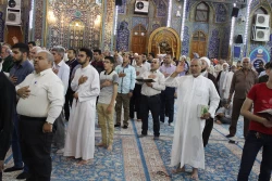 طنین زیارت عاشورا در حرم سیدالشهدا/ تصاویر 8