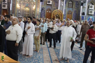 طنین زیارت عاشورا در حرم سیدالشهدا/ تصاویر 8
