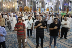طنین زیارت عاشورا در حرم سیدالشهدا/ تصاویر 9