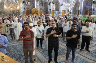 طنین زیارت عاشورا در حرم سیدالشهدا/ تصاویر 9