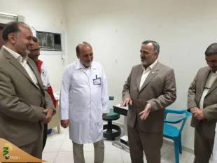 رئیس سازمان حج و زیارت:

هیچ زائر بستری در مراکز درمانی عربستان نداریم 2