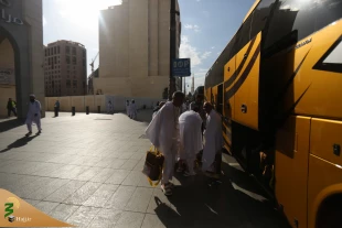 لطف حسین مرا مدینه آورده است 14