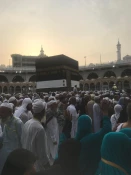 گردش پروانه وار؛ حول نقطه پرگار.../تصویر 14
