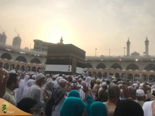 گردش پروانه وار؛ حول نقطه پرگار.../تصویر 18