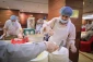 خدمات خوب است/راحت به زیارت می رویم 10