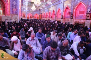طنین دعای کمیل کربلا در شب شهادت جواد الائمه 2