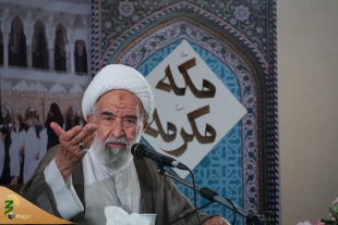 حجاج ایرانی سالروز ازدواج حضرت علی و فاطمه (ع) را گرامی داشتند 6