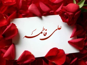 چرا حضرت علی (ع) بعد از حضرت زهرا (س) ازدواج دیگری کردند؟