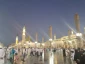 همراه با آخرین کاروانهای مدینه قبل در شهر پیامبر/گزارش تصویری 2