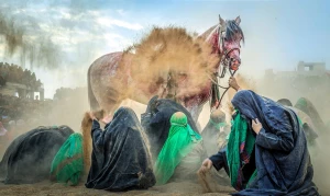رونمایی از تصاویر برگزیده زیباترین عکس از زائران اربعین