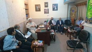زایران حاضر در نجف اشرف برای دعای عرفه به کربلا می روند 2