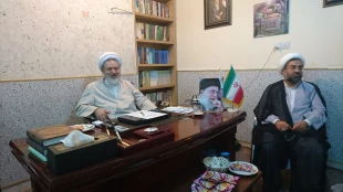 زایران حاضر در نجف اشرف برای دعای عرفه به کربلا می روند 6