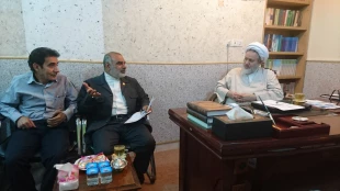 زایران حاضر در نجف اشرف برای دعای عرفه به کربلا می روند 8