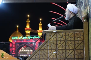 زائران ایرانی کربلا ندبه کنان به استقبال عرفه رفتند / تصاویر 4