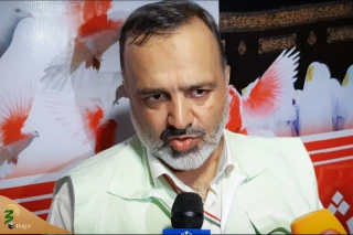 رییس سازمان حج و زیارت: 

مسئولان جمهوری اسلامی از خون شهیدان منا نخواهند گذشت + فیلم