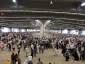 سومین روز رمی جمرات در منا + فیلم 2
