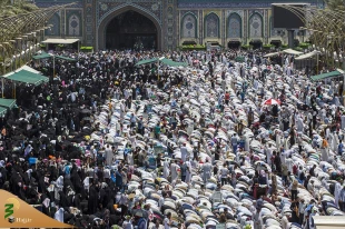 تصاویر منحصر به فرد از عرفه کربلا 7