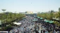 تصاویر منحصر به فرد از عرفه کربلا 11