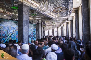 تصاویر منحصر به فرد از عرفه کربلا 12