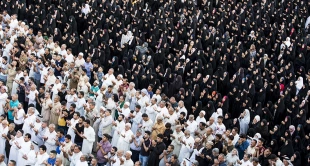 برگزاری نماز عید سعید قربان در کربلای معلا + تصاویر 8