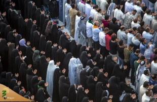 برگزاری نماز عید سعید قربان در کربلای معلا + تصاویر 12