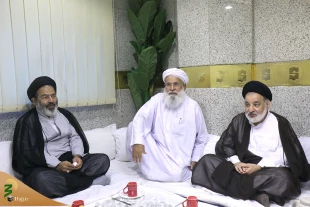 سرپرست حجاج ایرانی: حجاج به زیارت قبرستان ابوطالب بروند 16