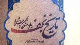 کتاب «تاریخ نجف» وارد بازار نشر شد

 2