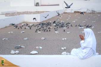 قبرستان ابوطالب 2