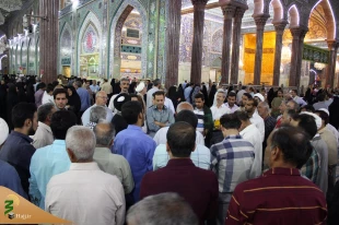 استقبال زائران از برنامه حرم شناسی در حرم سیدالشهدا / تصاویر 3
