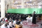 استقبال دانشجویان از برنامه روایتگری مرقد حر در کربلای معلا + تصاویر 5