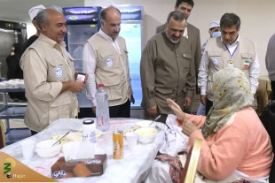 حجاج ایرانی: هرچه در حج دیدیم جمال و زیبایی بود
 14