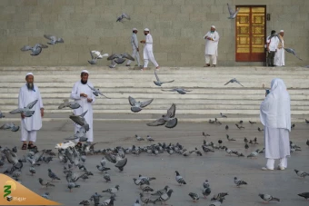 زیارت دوره مدینه منوره ـ ۲ 14