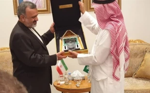 در دیدار با وزیر حج عربستان:

رئیس سازمان حج و زیارت: در صورت تأمین شروطمان با راه اندازی عمره موافقیم 2
