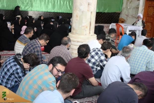 دانشجویان 6