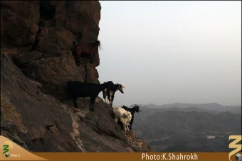 جبل النور