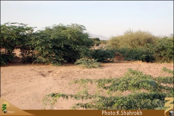 حديبيه