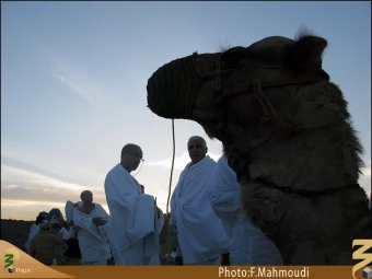 حاشيه هاي عرفات