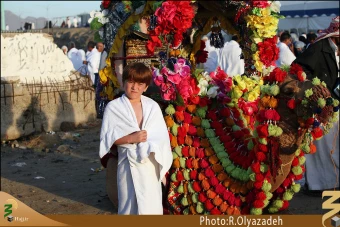 حاشيه هاي عرفات