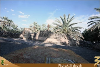 مسجد توبه