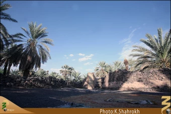 مسجد توبه