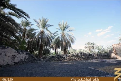 مسجد توبه