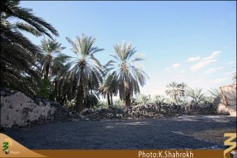 مسجد توبه