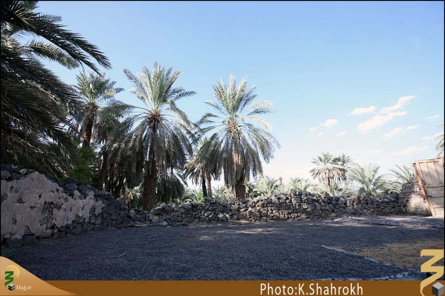 مسجد توبه