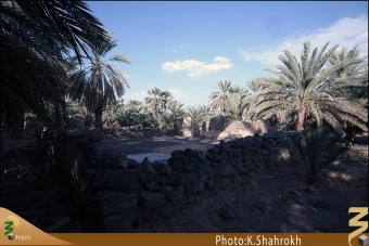 مسجد توبه