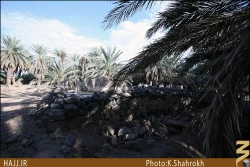 مسجد توبه