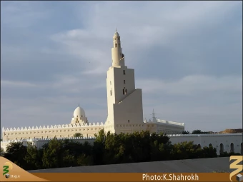 مسجد شَجره